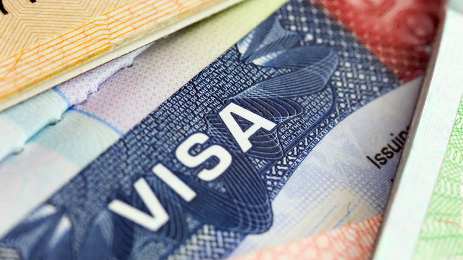 UK visa fees removed for talent