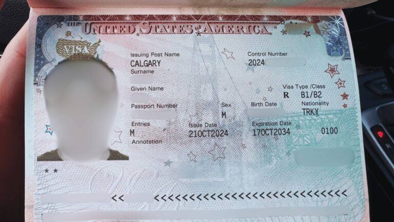 US B1/B2 visa portal glitch error