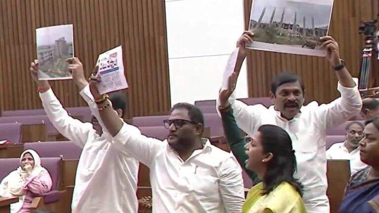 YSRCP protests in Council session