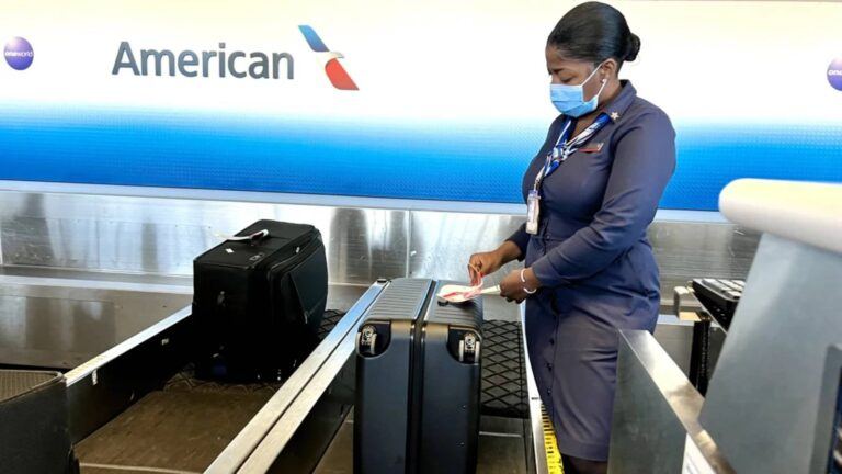 American Airlines baggage mishandling
