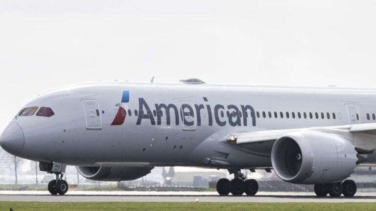 American Airlines flight delay incident