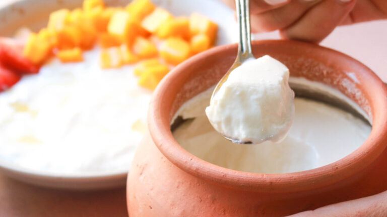 Expensive yoghurt vs homemade dahi