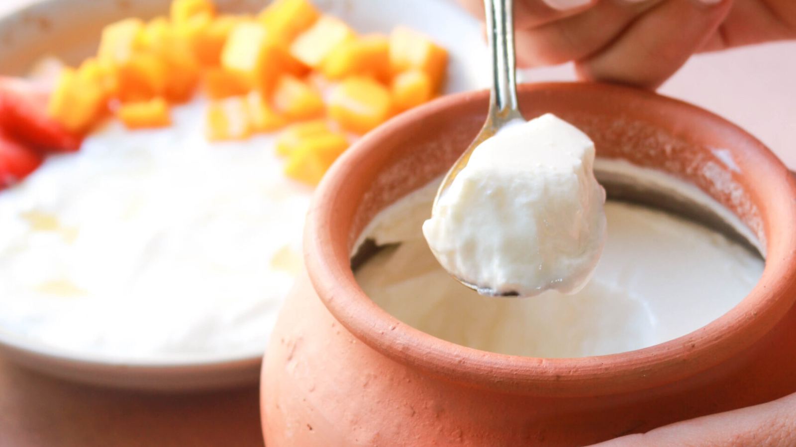 Expensive yoghurt vs homemade dahi