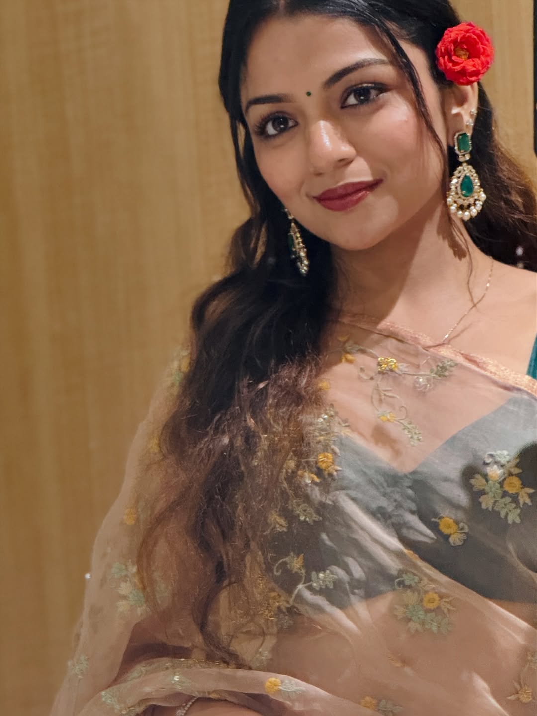 Hansika Krishna Graceful Saree Mirror Shot