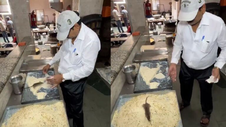 Hotel kitchen hygiene violation