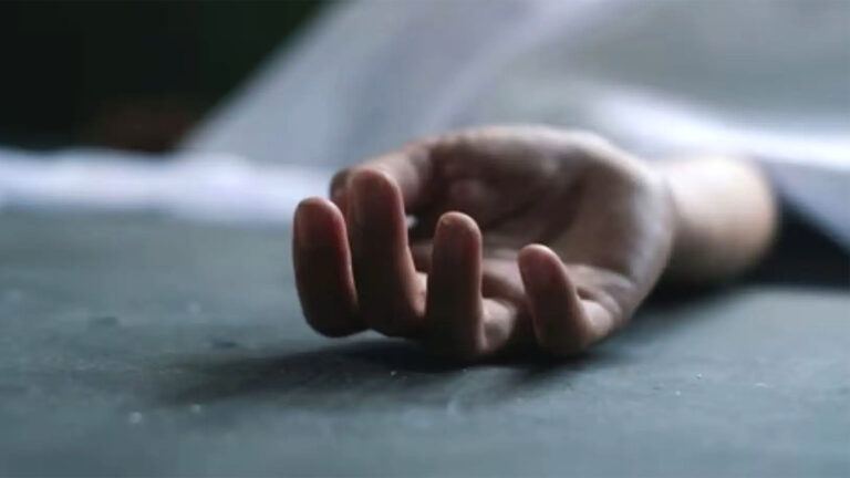 Hyderabad mother kills twins and jumps