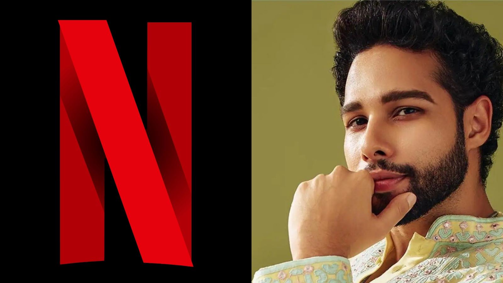 Netflix cancels Siddhant Chaturvedi film Ramree