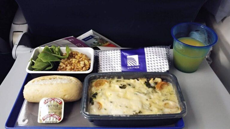 Passenger eating ramen on airplane