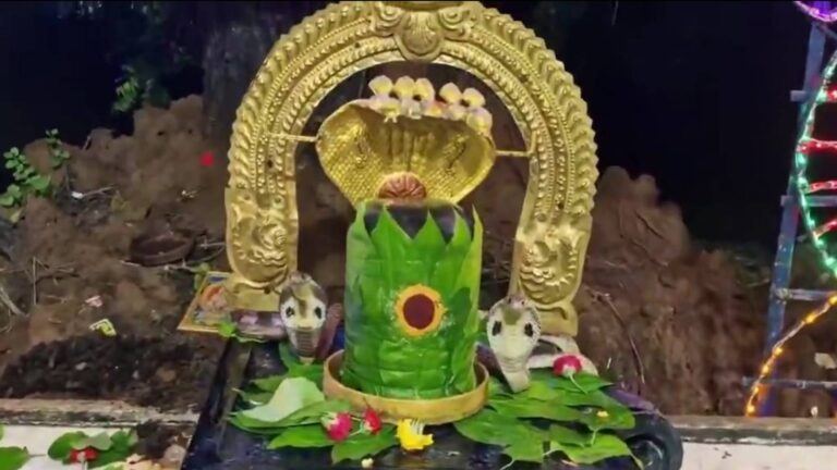 Snakes appear on Shiva Lingam in Nellore temple
