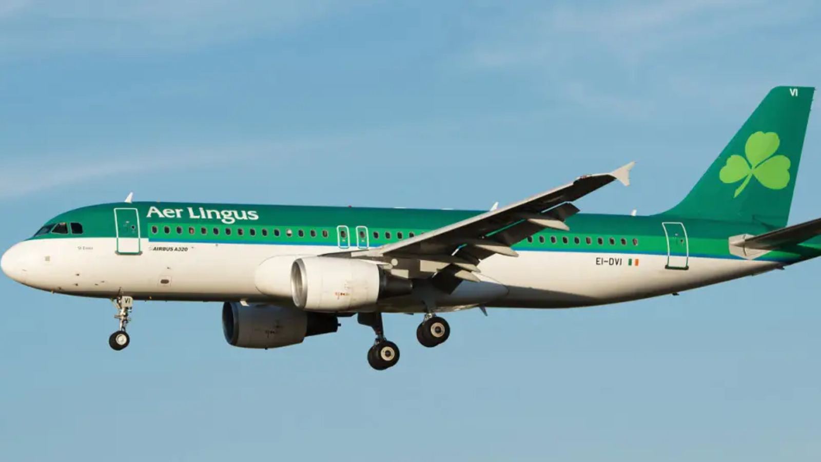 Aer Lingus pilot suspension controversy
