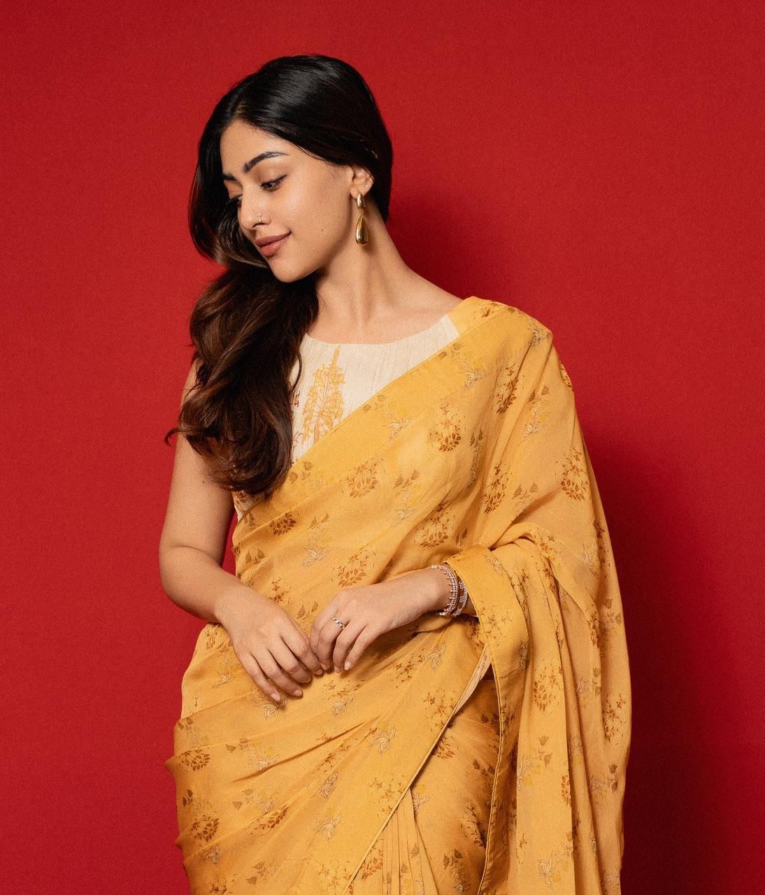 Elegant Profile Shot Of Anu Emmanuel In Saree