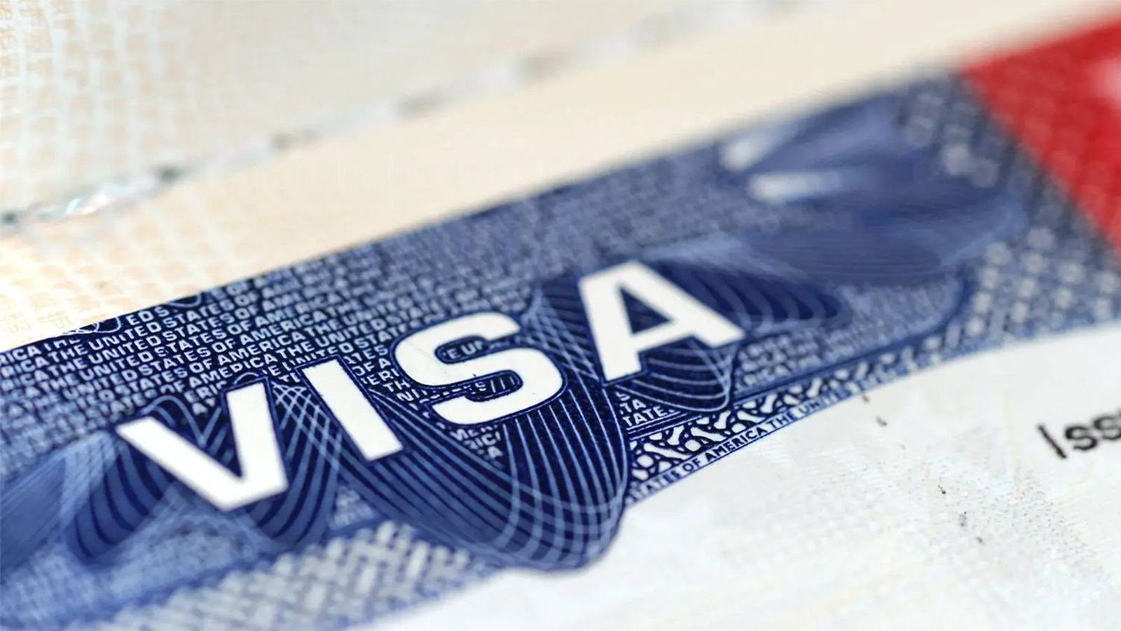 F1 student faces visa termination