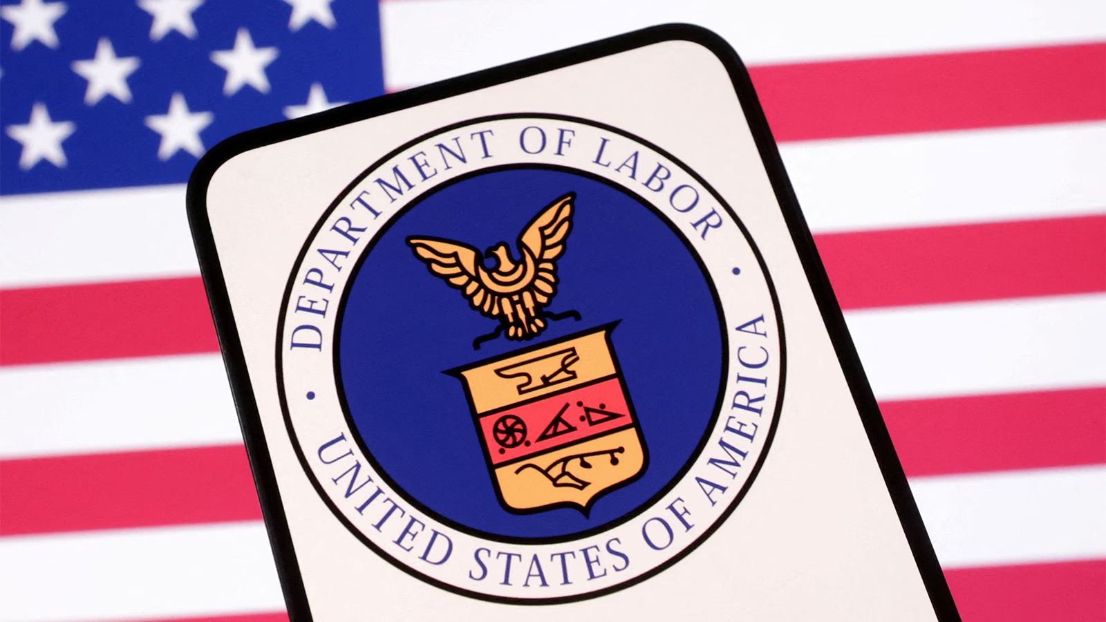 US investigates 175 H-1B fraud cases under Project Firewall