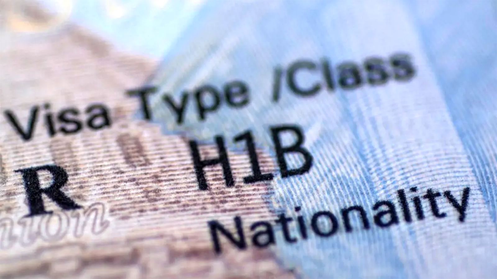 H-1B visa denial due to lawyer mistake