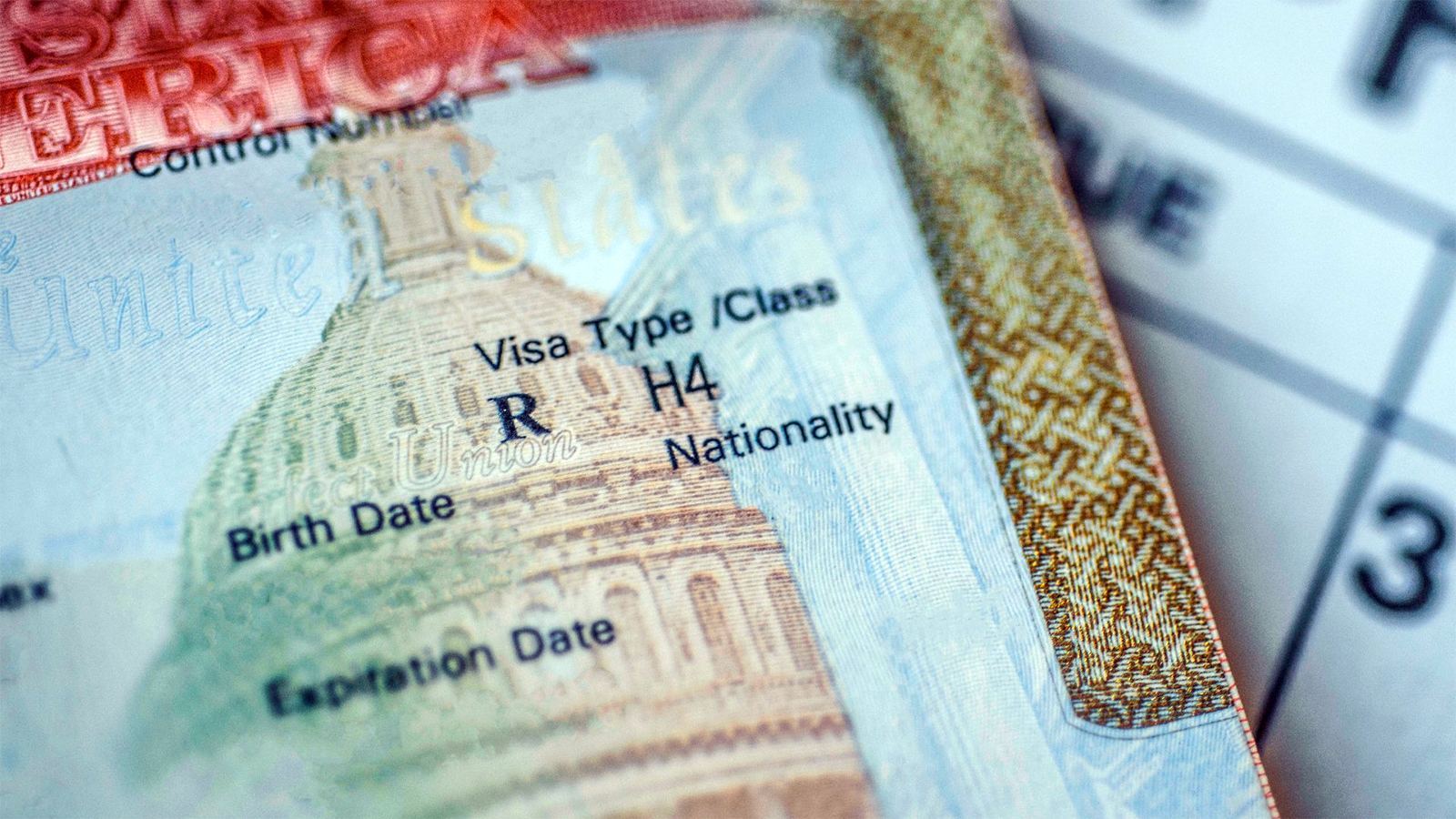 Texas H-4 SAVE Error Blocks License Renewal