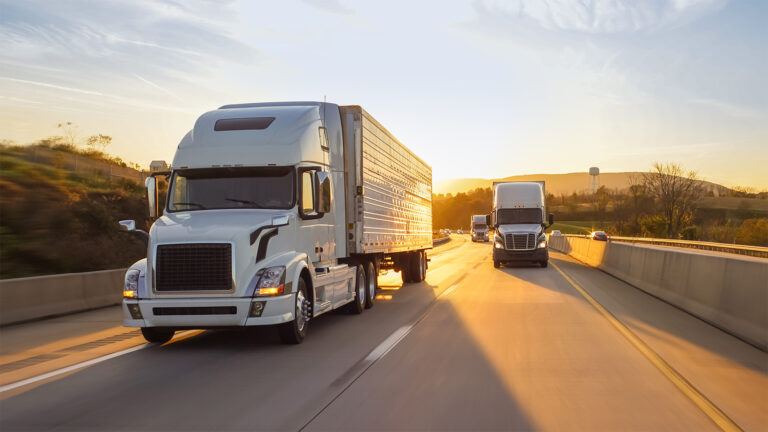 Indian truck drivers banned in US