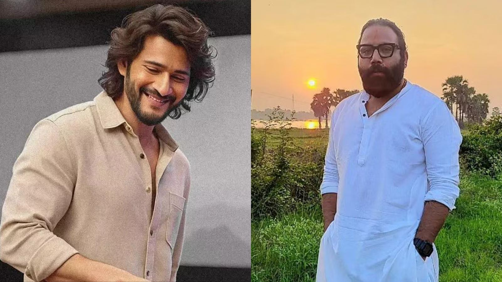 Mahesh Babu and Sandeep Reddy Vanga project