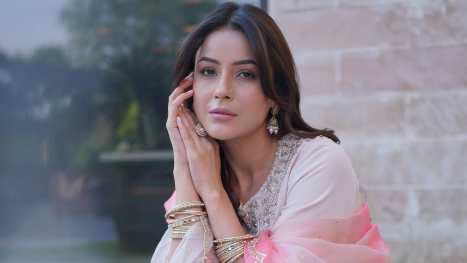 Shehnaz Gill faces breakup and film rumours