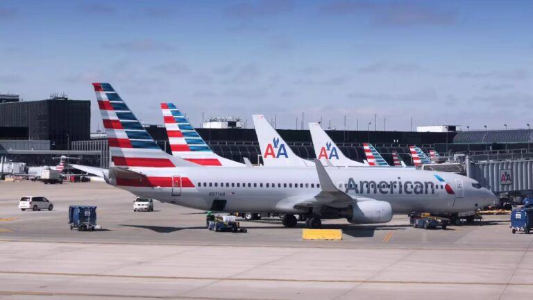American Airlines passenger incident case