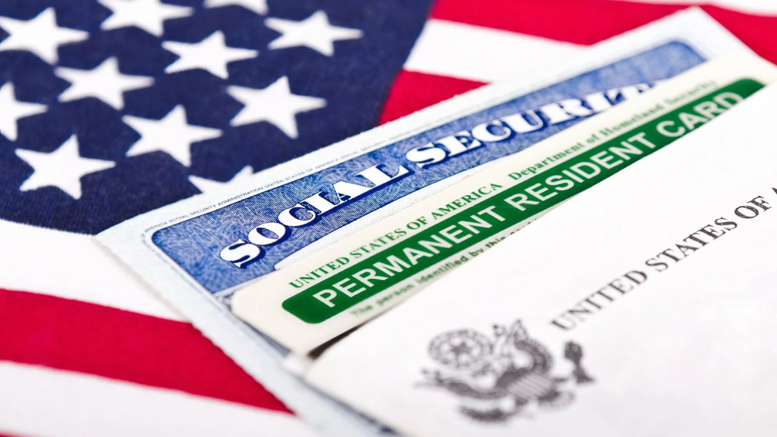 Green card holder stuck in removal case