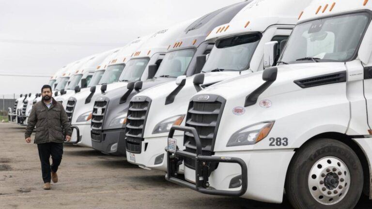 Indian truck drivers protest CDL cancellations