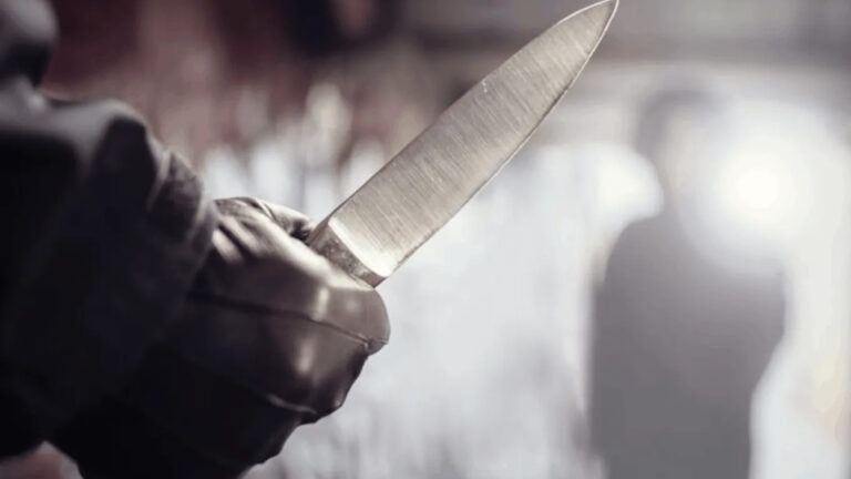 Karimnagar crime case highlighting debate on movie violence influencing real-life actions