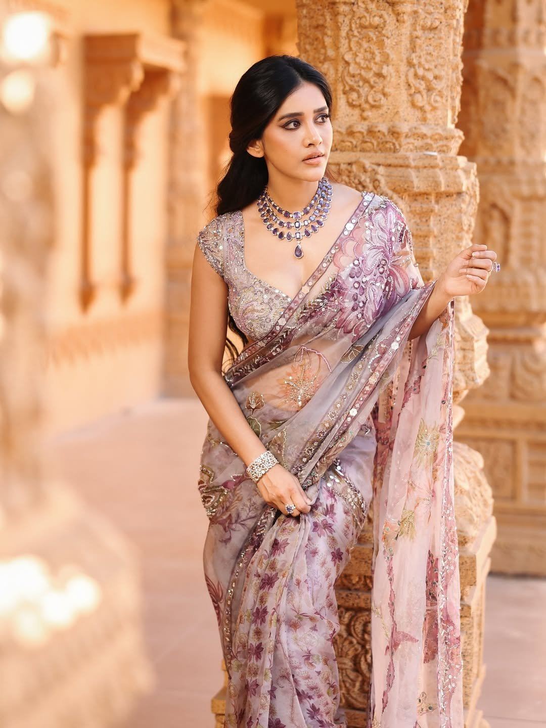 Nabha Natesh's Regal Look In Lavender Outfit