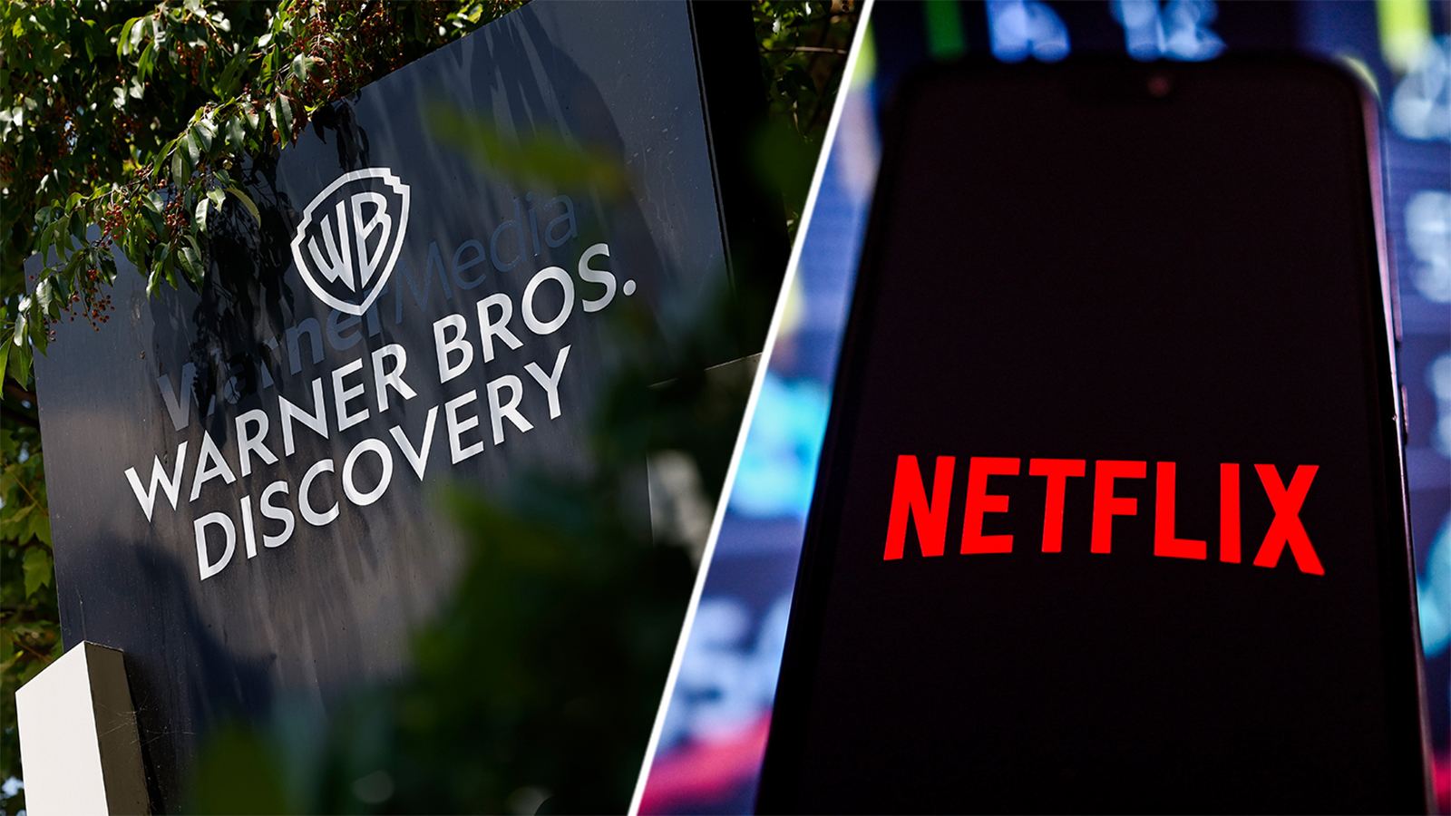 Netflix Warner Bros deal fan reactions