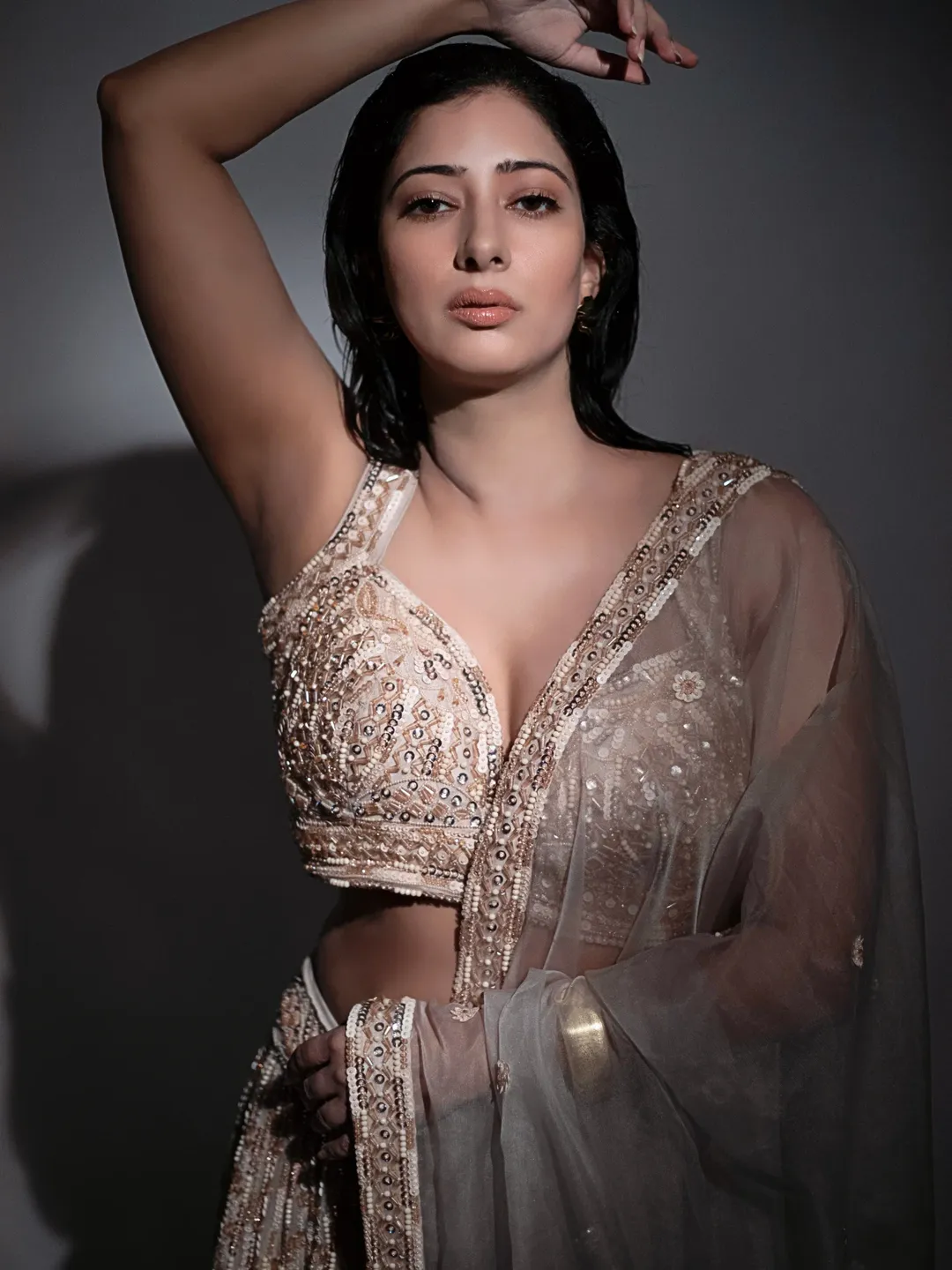 Niharica Raizada's Sizzling Wet Hair Look In Saree