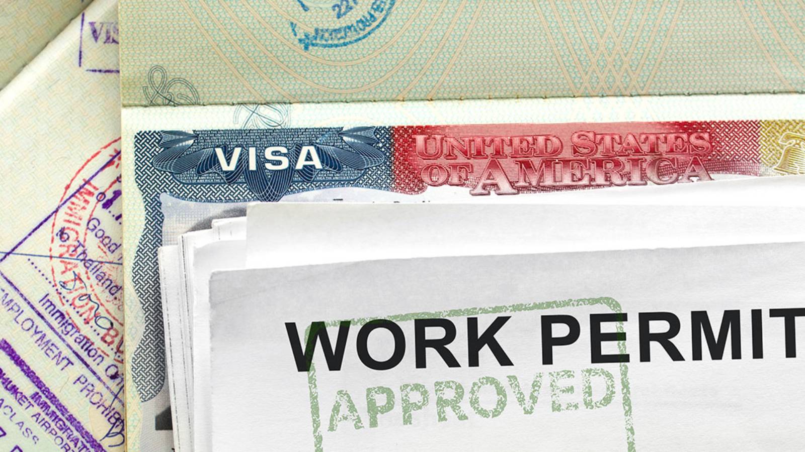 STEM OPT filing error EAD issue