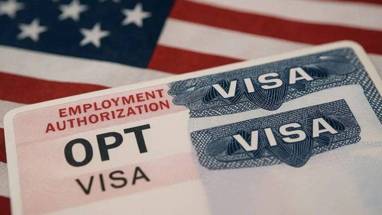 Students check OPT corrected receipt notice