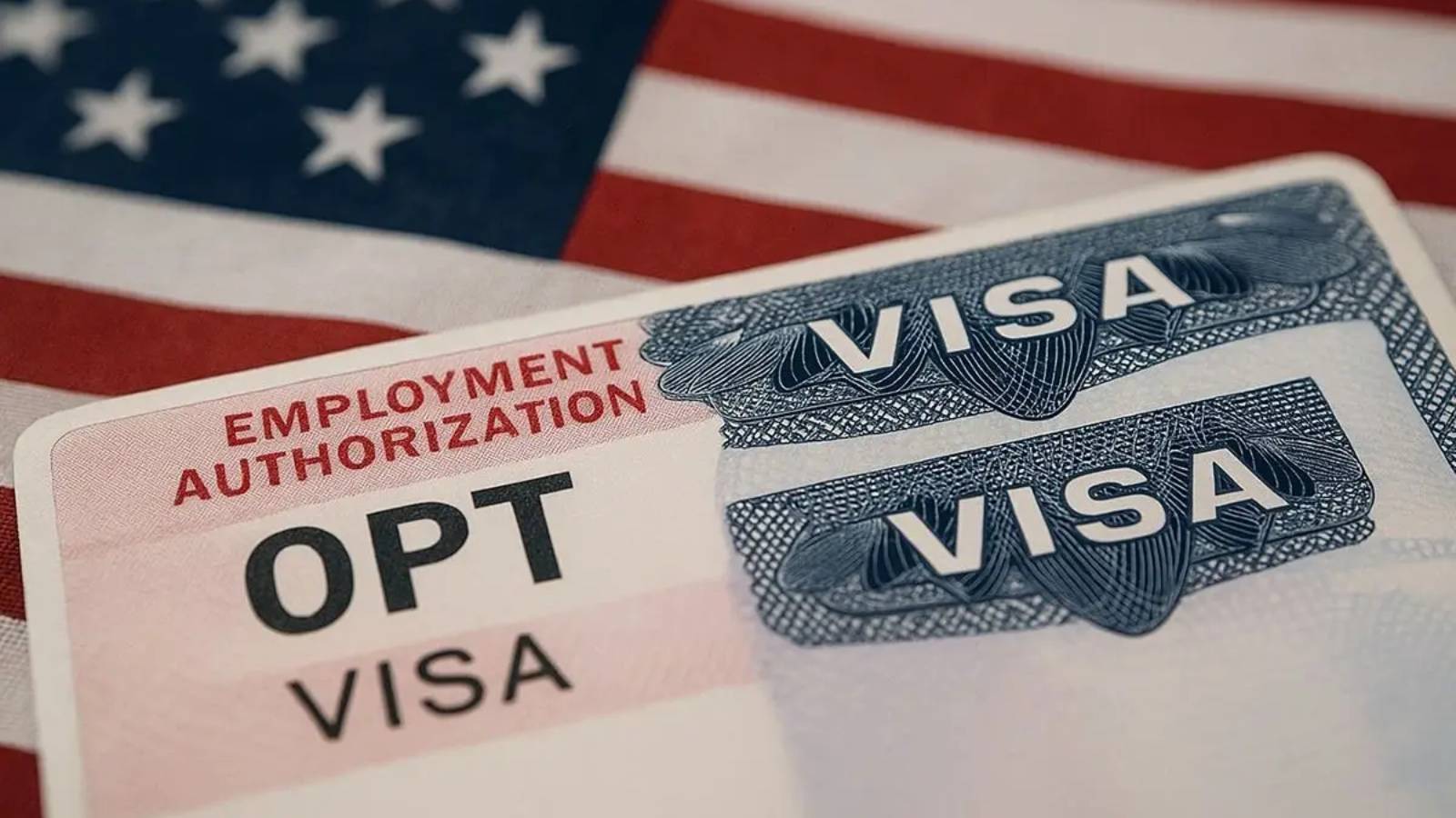 Students check OPT corrected receipt notice