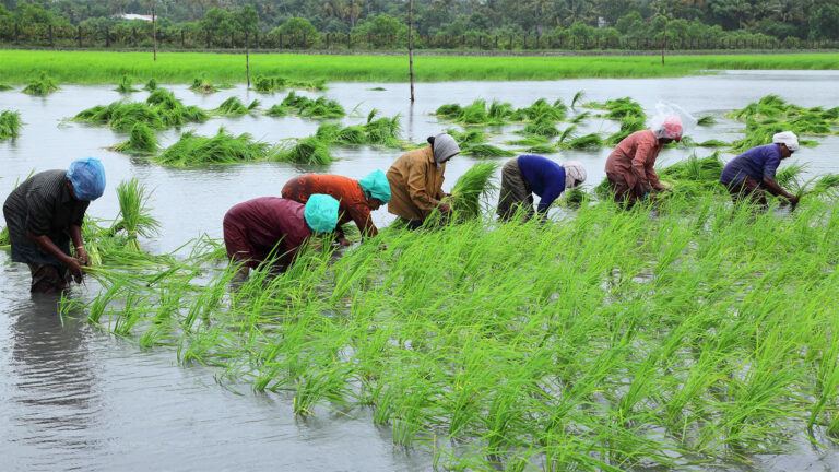 Telangana govt clarifies rythu bharosa