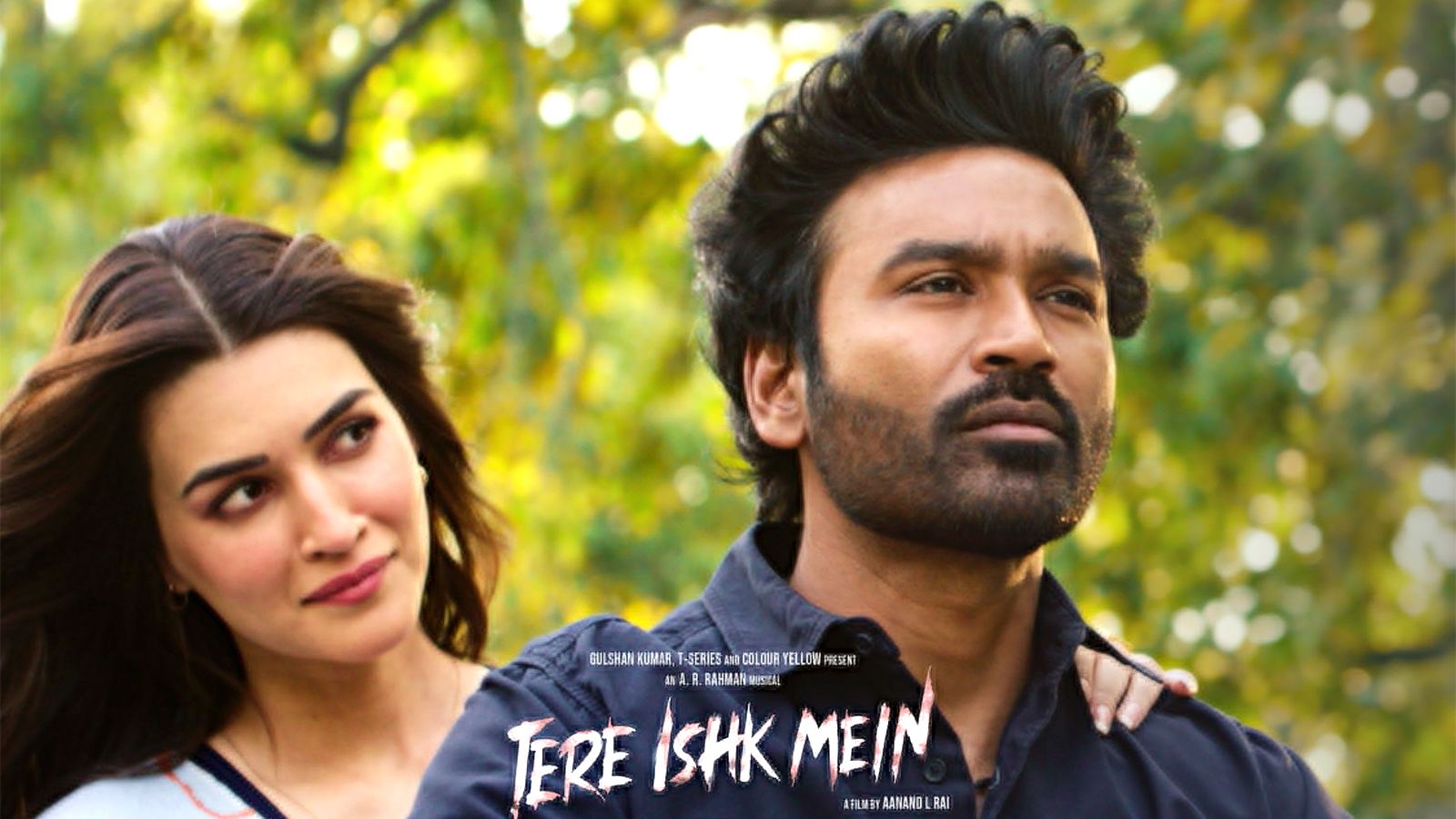 Tere Ishk Mein Bihar box office success