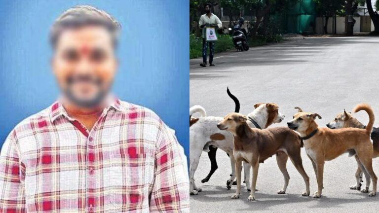 Warangal youth chased by stray dogs