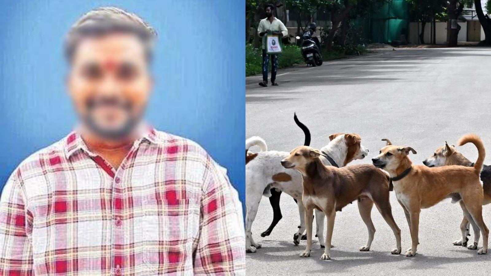 Warangal youth chased by stray dogs
