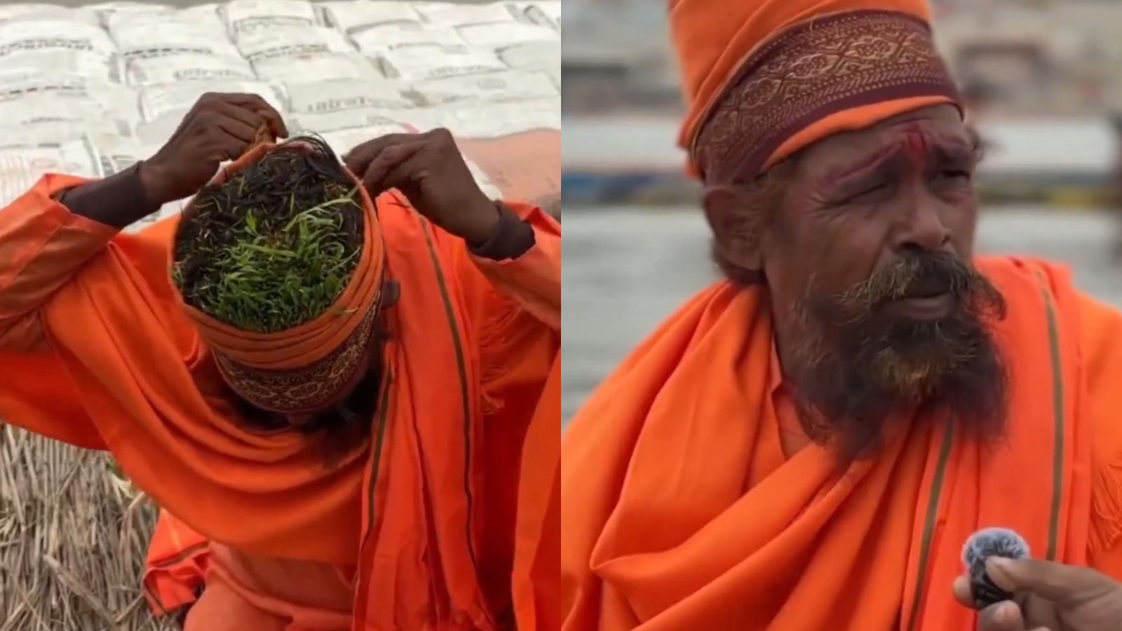 Anaaj Wale Baba head crops claim