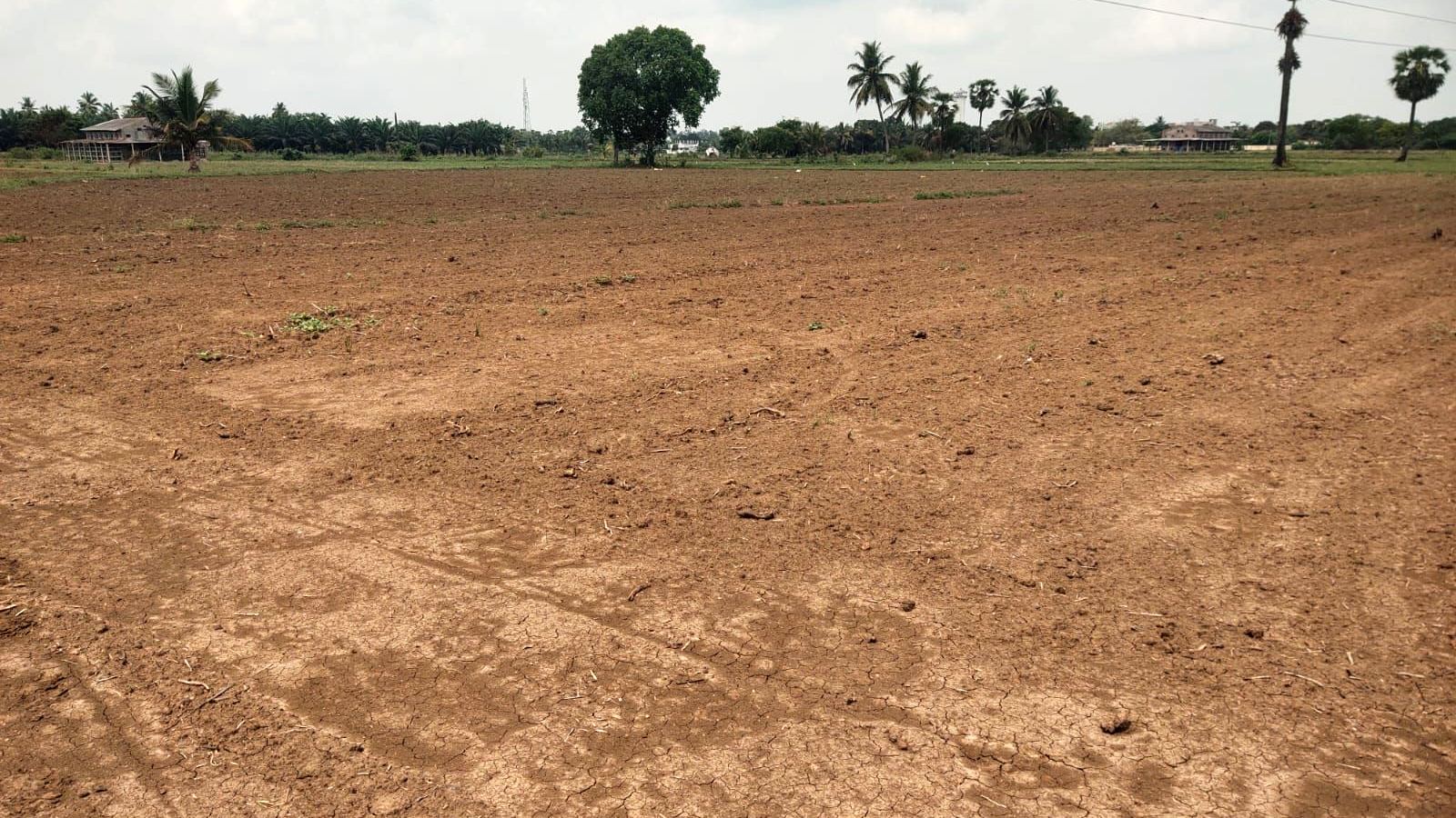 Andhra Pradesh land prices hike