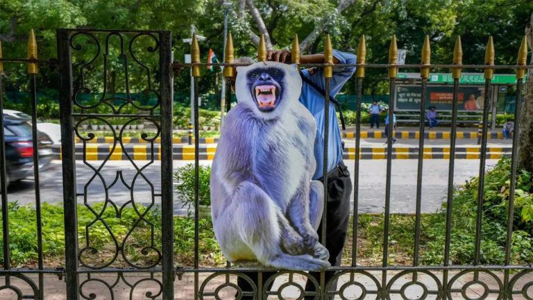Monkey issue at Delhi Assembly complex