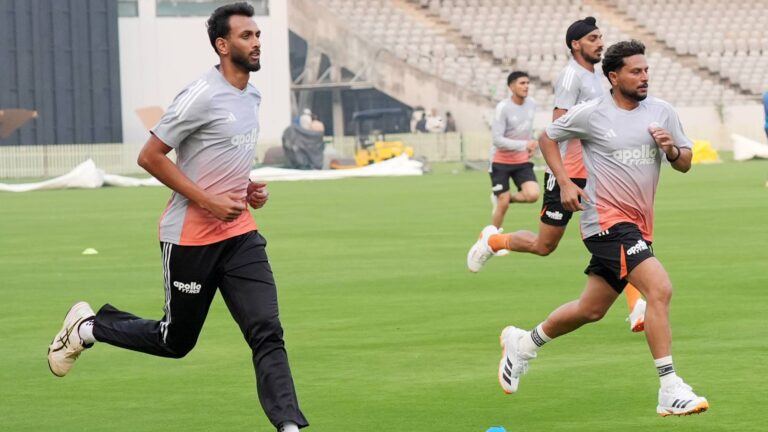 India vs New Zealand ODI Vadodara pitch