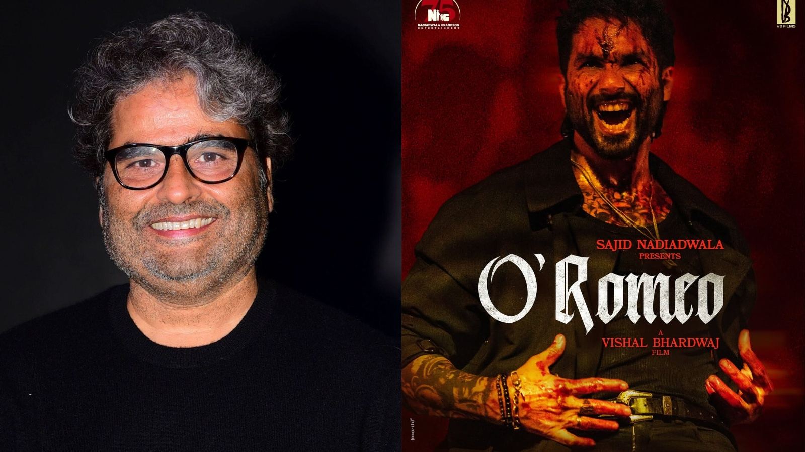 Triptii Dimri Replaced Deepika Padukone Before Spirit?