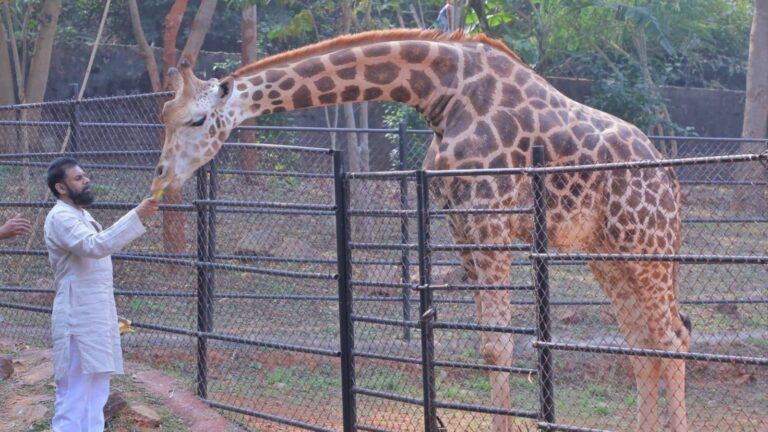 Pawan Kalyan at Visakhapatnam zoo
