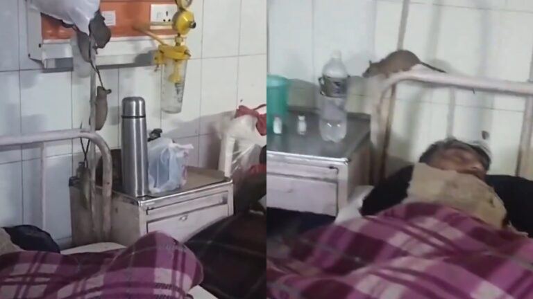 Rats in Gonda hospital ward