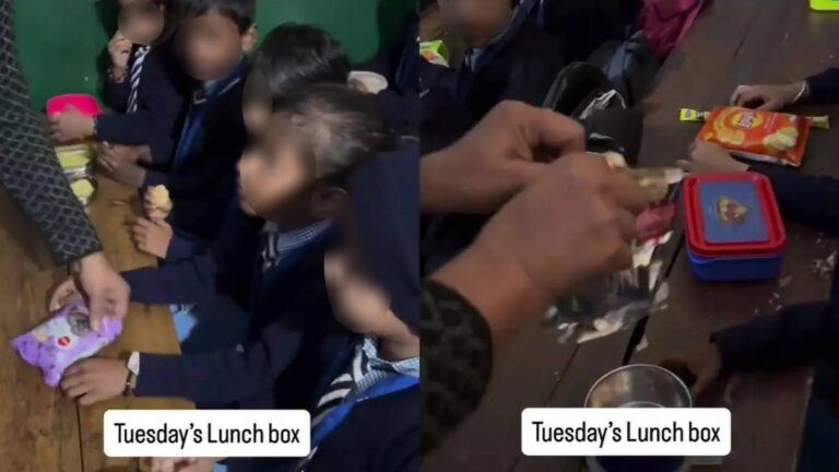kids lunch boxes with processed food