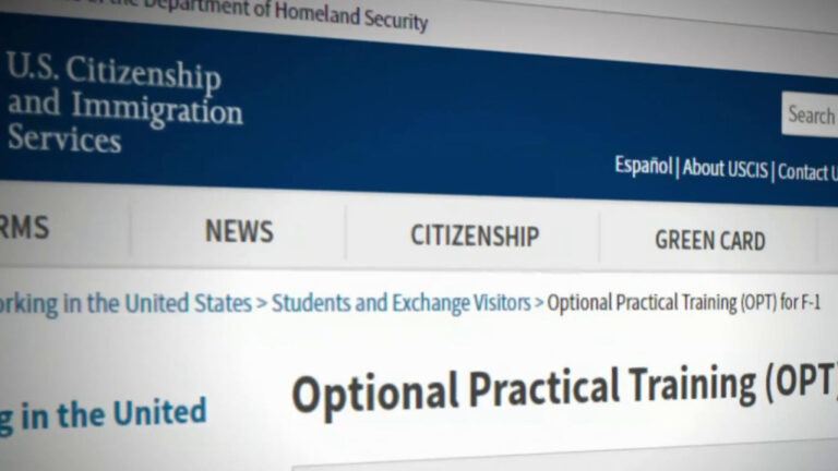 STEM OPT E-Verify deadline issue for F-1 student