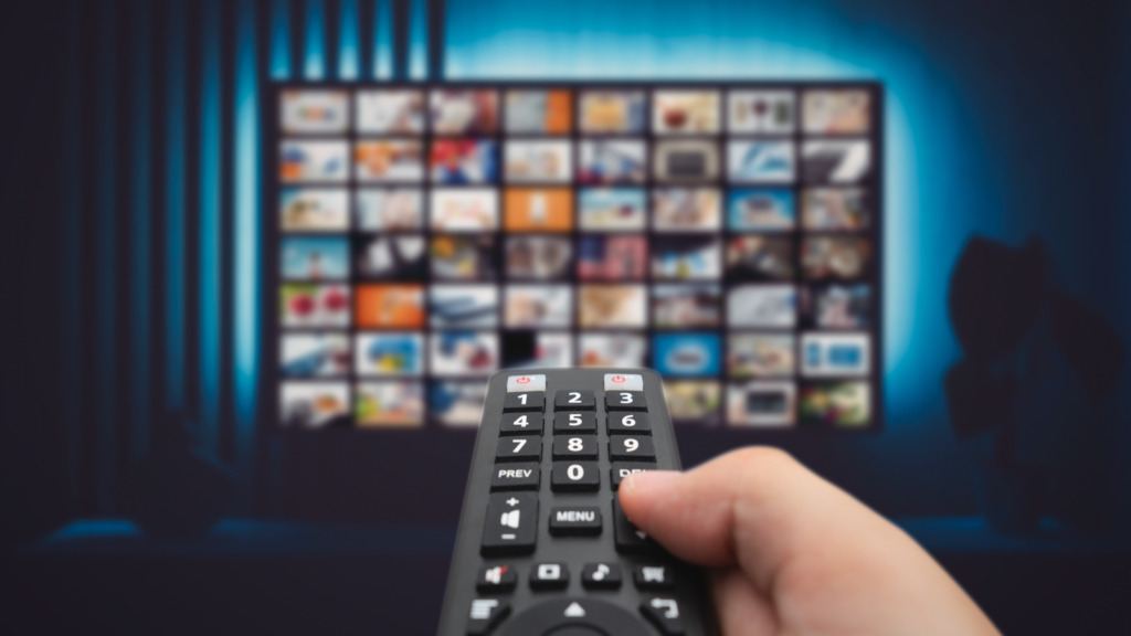 Streaming piracy domains blocked in India