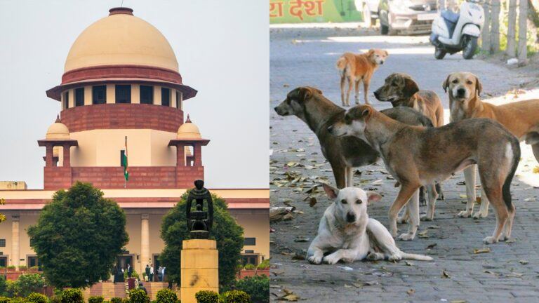 Supreme Court on stray dog deaths