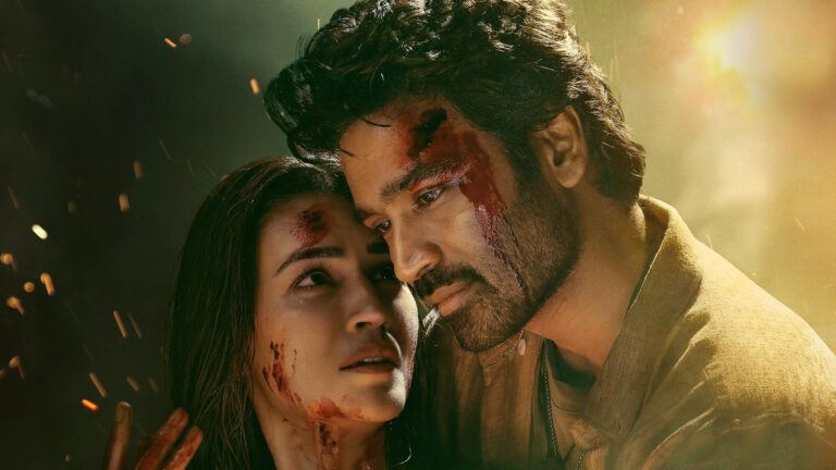 Tere Ishk Mein Netflix audience reaction