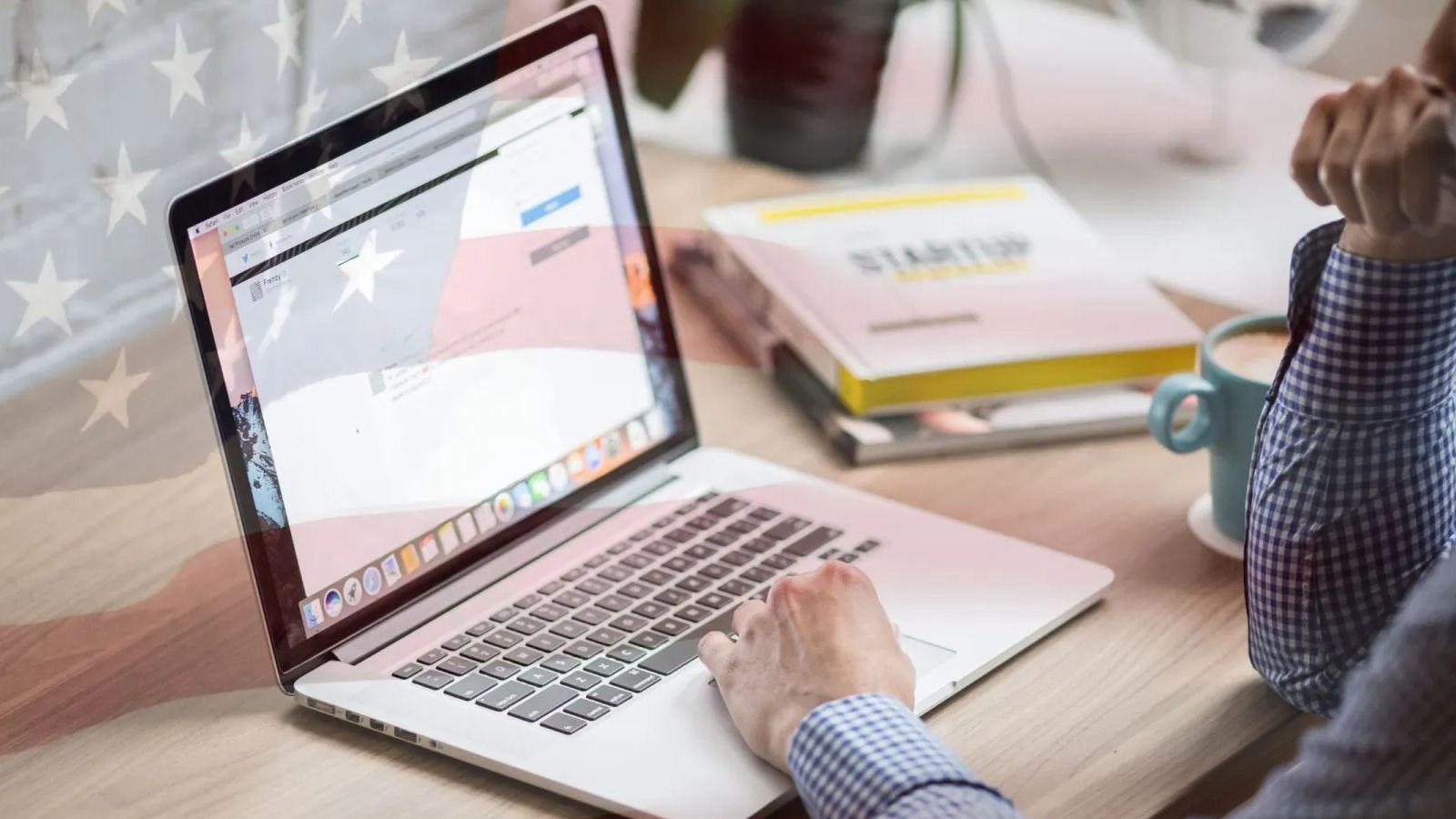 US visa profile hacking scam