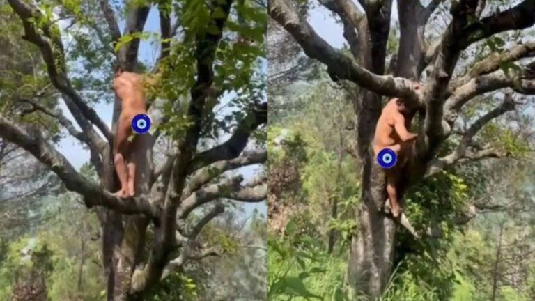 Vidyut Jammwal forest video viral